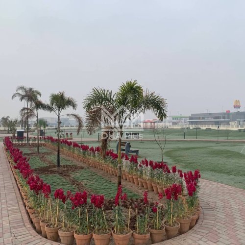1 Kanal Plot for sale in Sector P, DHA Phase 7, Lahore - (ID-30612)