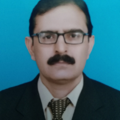 Malik Saleem